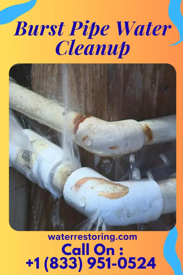 Burst Pipe Water Cleanup in Kennett Square, PA