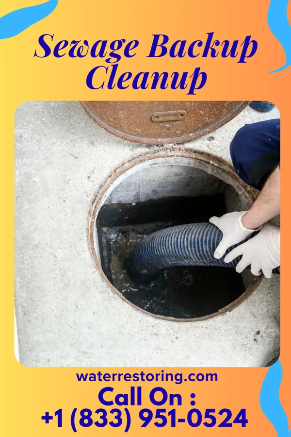 Sewage Backup Cleanup in Kennett Square, PA