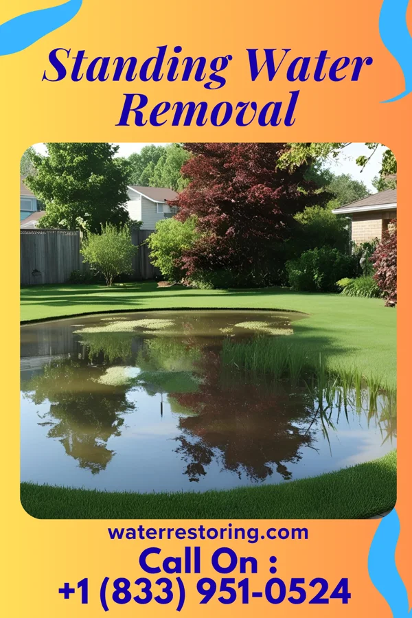 Standing Water Removal in Kennett Square, PA